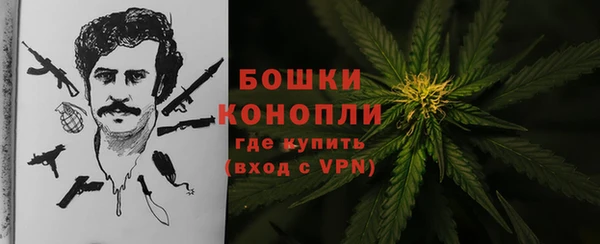 гидра Нея
