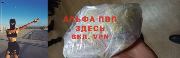гидра Нея
