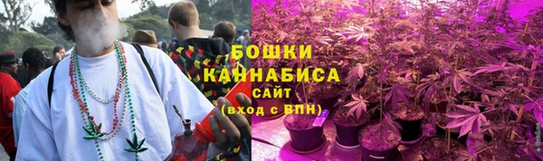гидра Нея