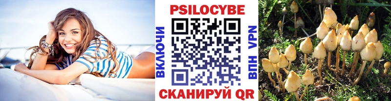 наркота  Приморско-Ахтарск  Галлюциногенные грибы Psilocybe 