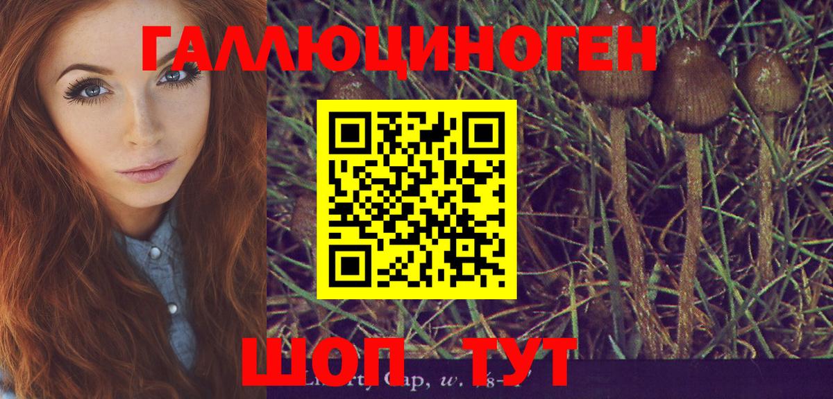 Приморско-Ахтарск  Галлюциногенные грибы Psilocybine cubensis  где купить   Вход с VPN 